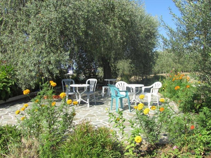 Asterias Studios Αστρίδα Εξωτερικό φωτογραφία
