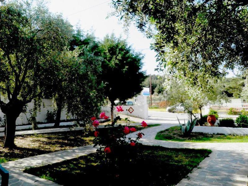 Asterias Studios Αστρίδα Εξωτερικό φωτογραφία