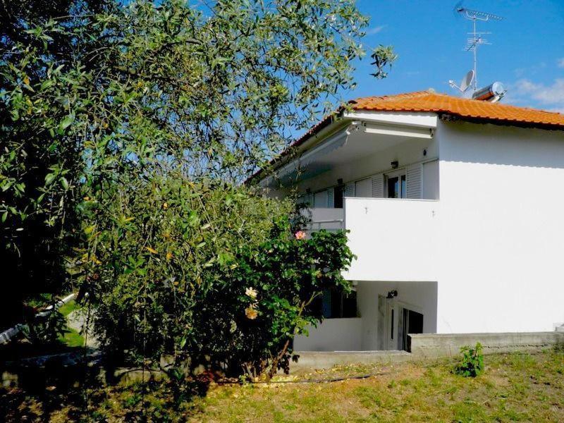 Asterias Studios Αστρίδα Εξωτερικό φωτογραφία